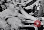 Immagine di Campo di concentramento di Dachau Dachau Germania, 1945, secondo 17 filmato di repertorio 65675036153