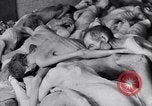 Immagine di Campo di concentramento di Dachau Dachau Germania, 1945, secondo 18 filmato di repertorio 65675036153