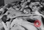 Immagine di Campo di concentramento di Dachau Dachau Germania, 1945, secondo 21 filmato di repertorio 65675036153