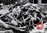 Immagine di Campo di concentramento di Dachau Dachau Germania, 1945, secondo 54 filmato di repertorio 65675036153