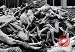 Immagine di Campo di concentramento di Dachau Dachau Germania, 1945, secondo 58 filmato di repertorio 65675036153