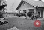 Immagine di Campo di concentramento di Dachau Dachau Germania, 1945, secondo 59 filmato di repertorio 65675036153