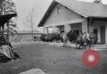 Immagine di Campo di concentramento di Dachau Dachau Germania, 1945, secondo 60 filmato di repertorio 65675036153