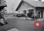 Immagine di Campo di concentramento di Dachau Dachau Germania, 1945, secondo 61 filmato di repertorio 65675036153