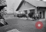 Immagine di Campo di concentramento di Dachau Dachau Germania, 1945, secondo 62 filmato di repertorio 65675036153