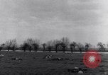 Immagine di Stati Uniti aviatori uccisi dai tedeschi Gombsheim Parigi Francia, 1945, secondo 10 filmato di repertorio 65675036157