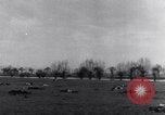 Immagine di Stati Uniti aviatori uccisi dai tedeschi Gombsheim Parigi Francia, 1945, secondo 13 filmato di repertorio 65675036157