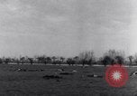 Immagine di Stati Uniti aviatori uccisi dai tedeschi Gombsheim Parigi Francia, 1945, secondo 16 filmato di repertorio 65675036157