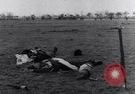Immagine di Stati Uniti aviatori uccisi dai tedeschi Gombsheim Parigi Francia, 1945, secondo 22 filmato di repertorio 65675036157