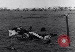 Immagine di Stati Uniti aviatori uccisi dai tedeschi Gombsheim Parigi Francia, 1945, secondo 24 filmato di repertorio 65675036157