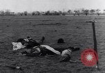 Immagine di Stati Uniti aviatori uccisi dai tedeschi Gombsheim Parigi Francia, 1945, secondo 26 filmato di repertorio 65675036157
