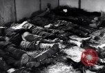 Immagine di Strage nazista Bande Belgio, 1945, secondo 23 filmato di repertorio 65675036158