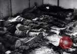 Immagine di Strage nazista Bande Belgio, 1945, secondo 26 filmato di repertorio 65675036158
