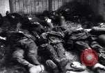 Immagine di Strage nazista Bande Belgio, 1945, secondo 27 filmato di repertorio 65675036158