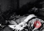 Immagine di Strage nazista Bande Belgio, 1945, secondo 33 filmato di repertorio 65675036158