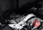 Immagine di Strage nazista Bande Belgio, 1945, secondo 34 filmato di repertorio 65675036158