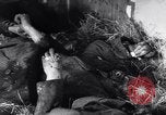 Immagine di Strage nazista Bande Belgio, 1945, secondo 40 filmato di repertorio 65675036158