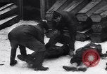 Immagine di Strage nazista Bande Belgio, 1945, secondo 55 filmato di repertorio 65675036158