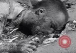 Image of Leipzig concentration camp Leipzig Germany, 1945, second 39 stock footage video 65675036161