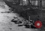 Image of Leipzig concentration camp Leipzig Germany, 1945, second 40 stock footage video 65675036161