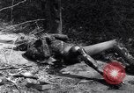 Image of Leipzig concentration camp Leipzig Germany, 1945, second 56 stock footage video 65675036161