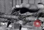 Image of Munster concentration camp Munster Germany, 1945, second 44 stock footage video 65675036168