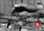Image of Munster concentration camp Munster Germany, 1945, second 45 stock footage video 65675036168