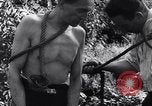 Image of Munster concentration camp Munster Germany, 1945, second 58 stock footage video 65675036168