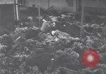 Immagine di Nordhausen campo di concentramento Nordhausen Germania, 1945, secondo 56 filmato di repertorio 65675036169