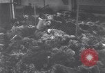 Immagine di Nordhausen campo di concentramento Nordhausen Germania, 1945, secondo 58 filmato di repertorio 65675036169