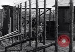 Immagine di Hannover campo di concentramento Hannover Germania, 1945, secondo 23 filmato di repertorio 65675036170