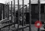 Immagine di Hannover campo di concentramento Hannover Germania, 1945, secondo 24 filmato di repertorio 65675036170