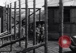 Immagine di Hannover campo di concentramento Hannover Germania, 1945, secondo 25 filmato di repertorio 65675036170