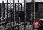 Immagine di Hannover campo di concentramento Hannover Germania, 1945, secondo 27 filmato di repertorio 65675036170