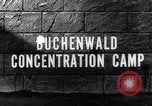 Image au camp de concentration de Buchenwald Buchenwald Allemagne, 1945, de la seconde 5 séquences d'archives historiques vidéo 65675036171