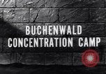 Image au camp de concentration de Buchenwald Buchenwald Allemagne, 1945, de la seconde 7 séquences d'archives historiques vidéo 65675036171