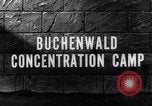 Image au camp de concentration de Buchenwald Buchenwald Allemagne, 1945, de la seconde 8 séquences d'archives historiques vidéo 65675036171