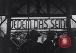 Image au camp de concentration de Buchenwald Buchenwald Allemagne, 1945, de la seconde 26 séquences d'archives historiques vidéo 65675036171