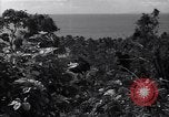 Image of Coast Watcher and a Police man Bougainville Island Papua New Guinea, 1943, second 17 stock footage video 65675036172