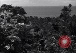 Image of Coast Watcher and a Police man Bougainville Island Papua New Guinea, 1943, second 18 stock footage video 65675036172