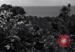 Image of Coast Watcher and a Police man Bougainville Island Papua New Guinea, 1943, second 19 stock footage video 65675036172