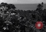 Image of Coast Watcher and a Police man Bougainville Island Papua New Guinea, 1943, second 20 stock footage video 65675036172