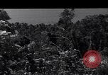 Image of Coast Watcher and a Police man Bougainville Island Papua New Guinea, 1943, second 50 stock footage video 65675036172