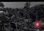 Image of Coast Watcher and a Police man Bougainville Island Papua New Guinea, 1943, second 51 stock footage video 65675036172