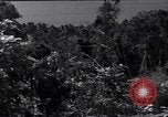 Image of Coast Watcher and a Police man Bougainville Island Papua New Guinea, 1943, second 52 stock footage video 65675036172