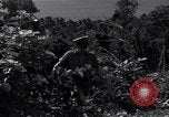 Image of Coast Watcher and a Police man Bougainville Island Papua New Guinea, 1943, second 54 stock footage video 65675036172