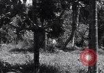 Image of Coast Watcher Bougainville Island Papua New Guinea, 1943, second 7 stock footage video 65675036175
