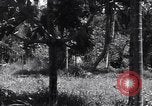 Image of Coast Watcher Bougainville Island Papua New Guinea, 1943, second 8 stock footage video 65675036175