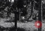 Image of Coast Watcher Bougainville Island Papua New Guinea, 1943, second 9 stock footage video 65675036175