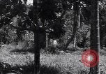 Image of Coast Watcher Bougainville Island Papua New Guinea, 1943, second 10 stock footage video 65675036175